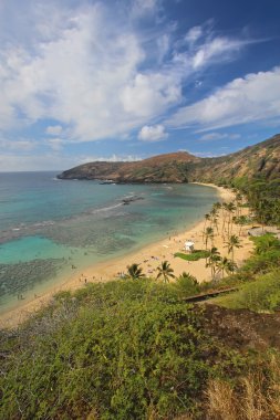 hanauma bay, hawaii dikey açı bakış