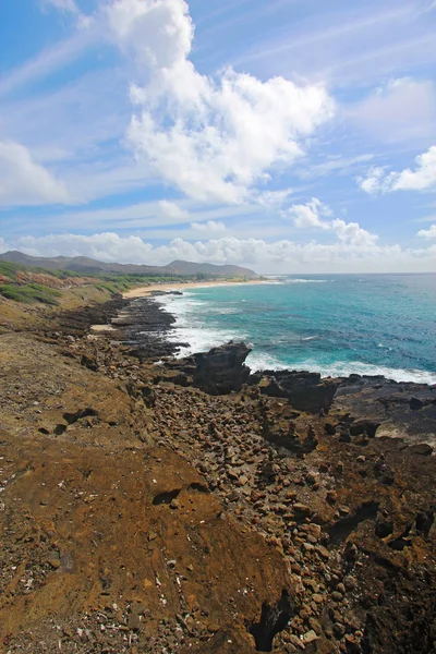 Widok na park piaszczystej plaży z blowhole halona w Hawaje vert — Zdjęcie stockowe