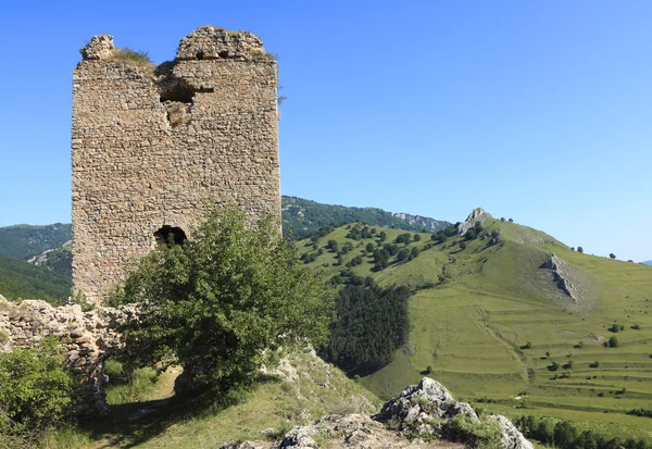 Coltesti fortress-detail — Stock Photo, Image