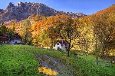 Rural autumn landscape clipart