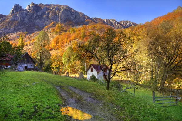 Kırsal sonbahar manzarası — Stok fotoğraf