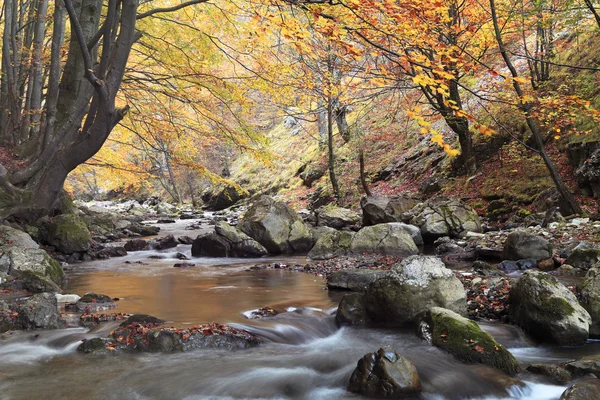 Hösten river — Stockfoto