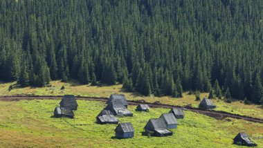 Traditional mountain village in Transylvania,Romania clipart