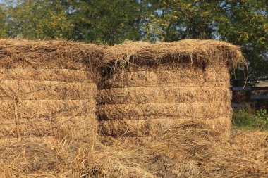 haystacks