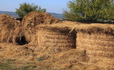 haystacks