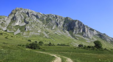 Trascau Mountains clipart