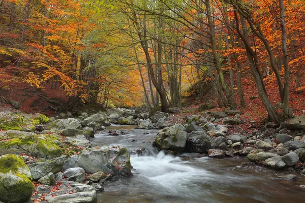 Herfst rivier — Stockfoto