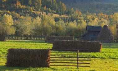 Landscape in Bucovina,Romania clipart