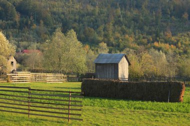 Landscape in Bucovina,Romania clipart