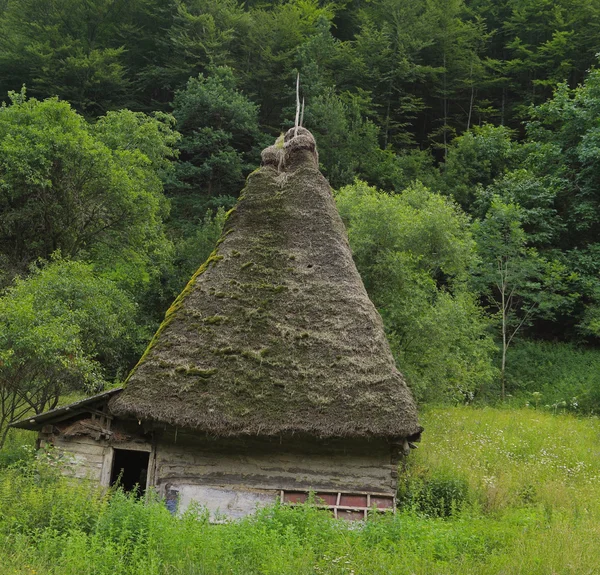 Casa tradicional transilvana — Foto de Stock