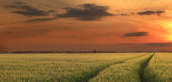 Rural sunset — Stock Photo, Image