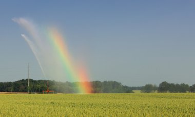 Agricultural rainbow clipart