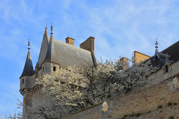 Frühling auf der Burg — Stockfoto