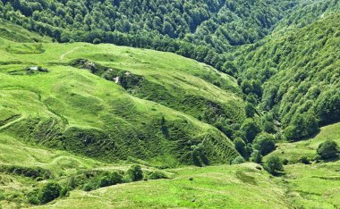 cantal içinde volkanik Yaylası