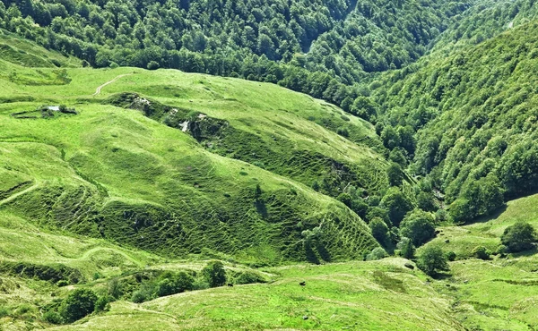 Вулканічні нагір'я у регіоні Cantal — стокове фото
