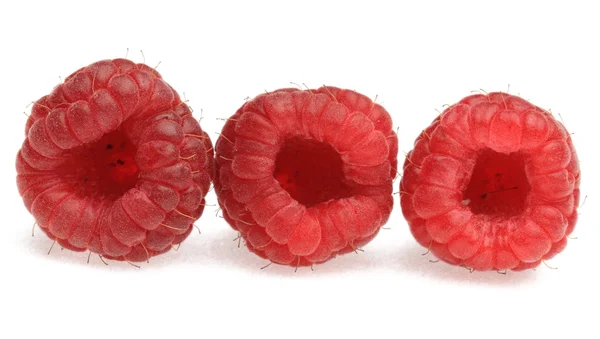 Three raspberries — Stock Photo, Image
