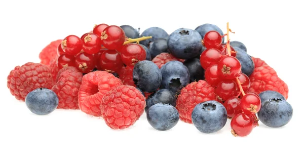 Плоды ягод — стоковое фото
