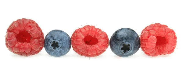 En rad av berry frukter — Stockfoto