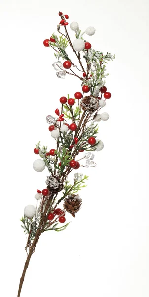 stock image Winter decoration