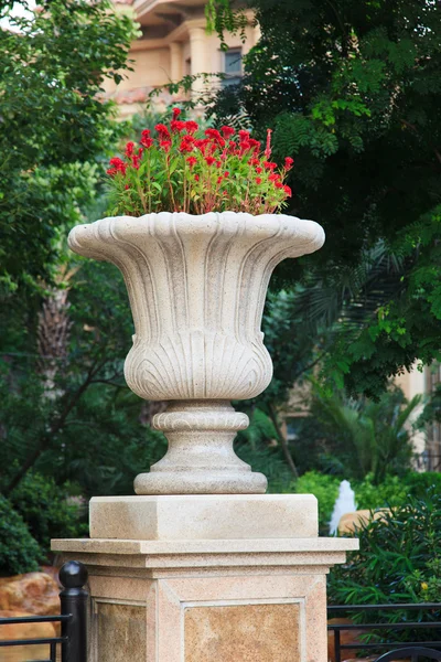 Ornamental stone flowerpot — Stock Photo, Image