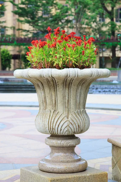 Vaso de flores de pedra ornamental — Fotografia de Stock