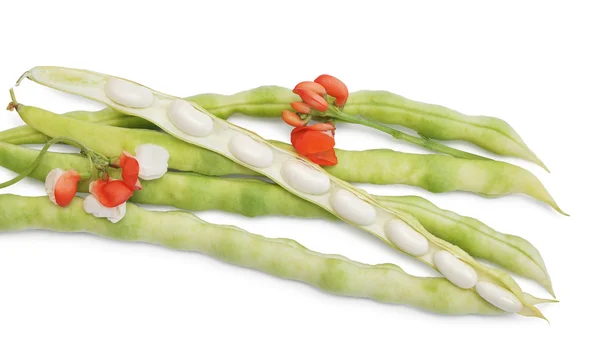 String Beans. — Stock Photo, Image