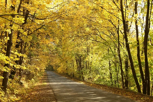Höstens sökväg på en solig morgon — Stockfoto