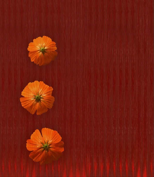 Röd grungy blomma texturerat bakgrund med text utrymme — Stockfoto