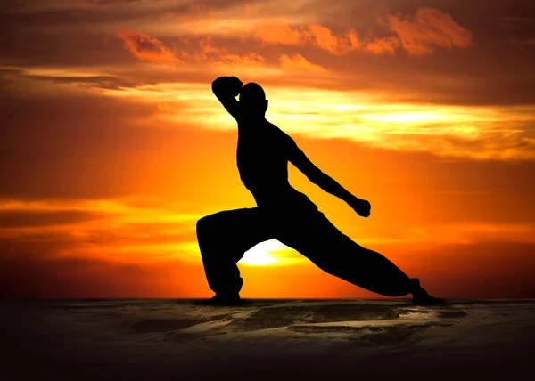 Martial arts fitness bij zonsondergang — Stockfoto