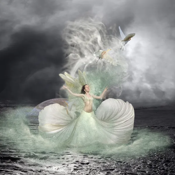 Sea Nymph and Water Birds Fairytale Royalty Free Stock Images