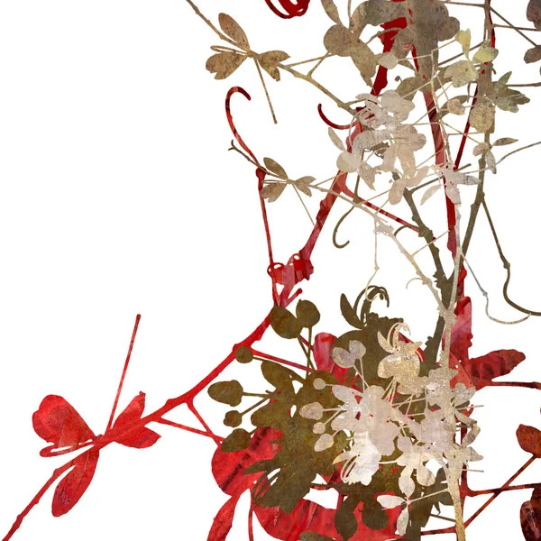 Blumenkunst auf Weiß — Stockfoto