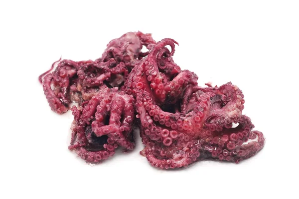 Octopus in plantaardige olie — Stockfoto