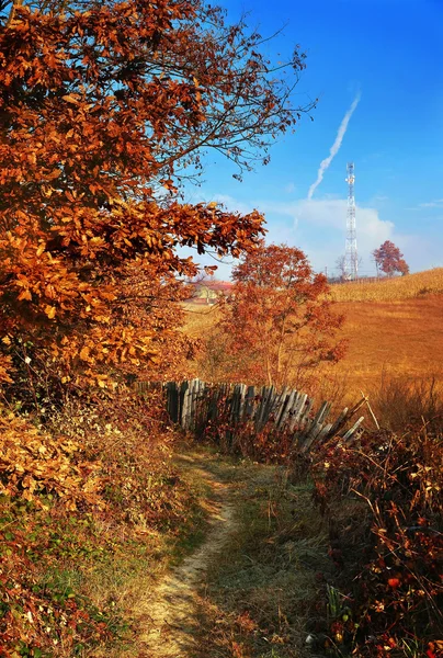 秋の田舎 — ストック写真