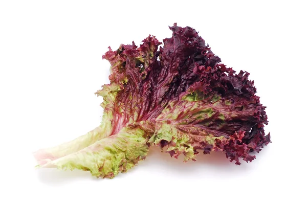Красный салат — стоковое фото