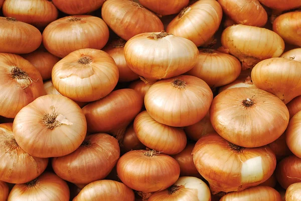 stock image Onions