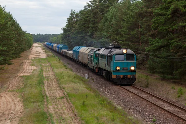 화물 디젤 열차 — 스톡 사진