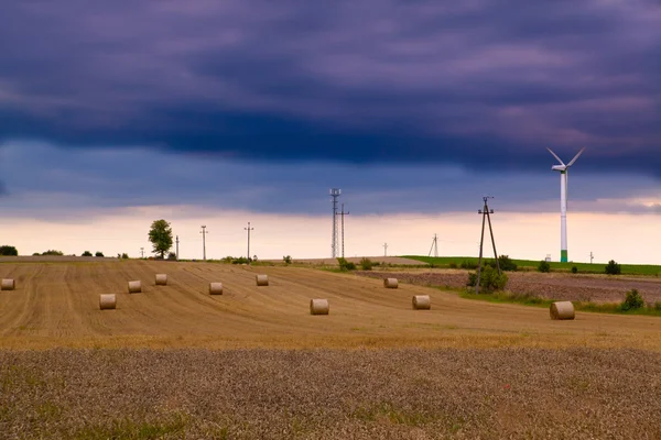 Летний пейзаж с ветряными турбинами — стоковое фото