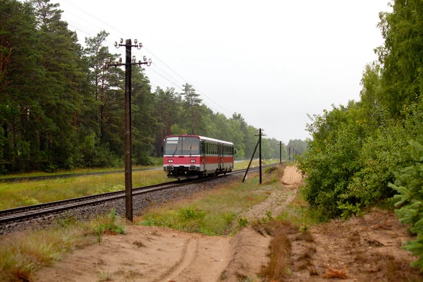 Ferrocarril pasando el bosque — Foto de Stock