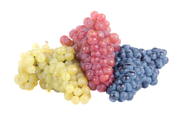 Fresh Grapes — Stock Photo, Image