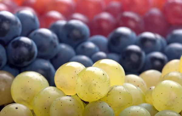 stock image Bunch of Grapes