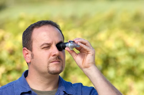 stock image Checking The Sugar Contest Of Grape