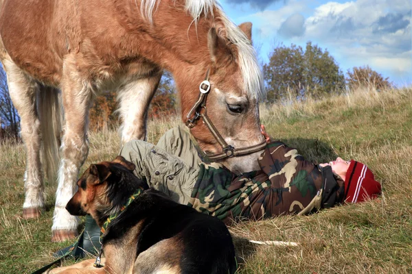Chlapče, koně a psi — Stock fotografie