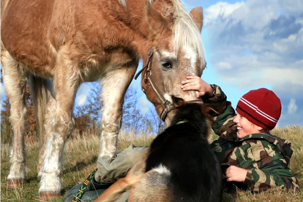 Niño, caballo y perros —  Fotos de Stock
