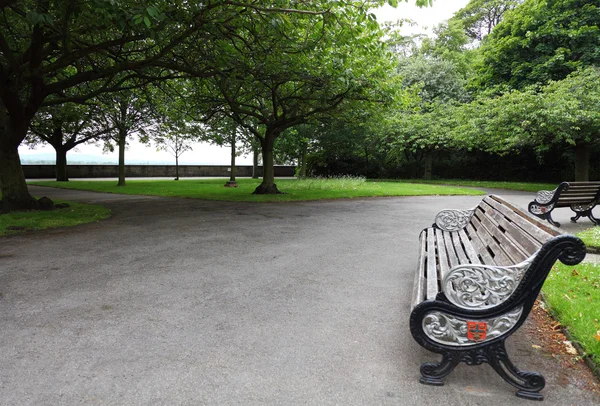 Staré starověké lavička v parku nottingham, Velká Británie — Stock fotografie