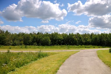 Park Bike Path clipart