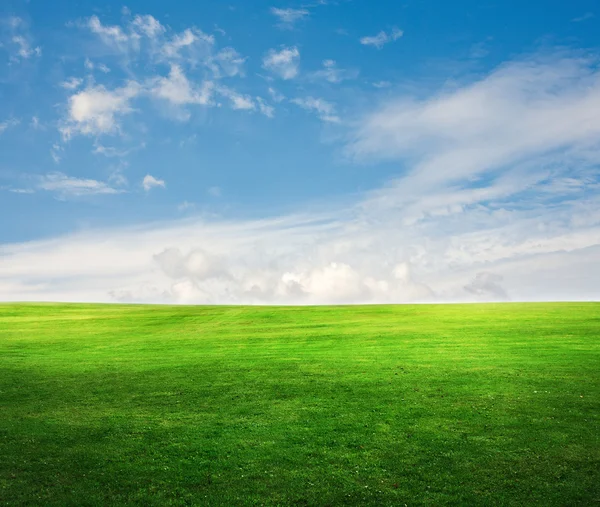 Feld auf einem Hintergrund des blauen Himmels — Stockfoto