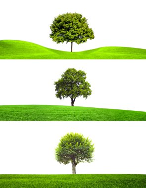 Trees collection clipart