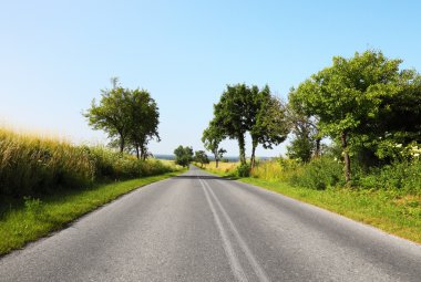 Kırsalda yol