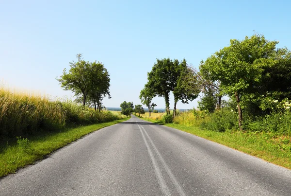 Road in the countryside — Stock Photo, Image
