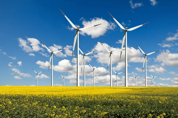Ветряная электростанция с рапсовым полем — стоковое фото